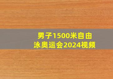 男子1500米自由泳奥运会2024视频