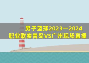 男子篮球2023一2024职业联赛青岛VS广州现场直播