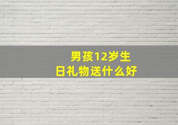 男孩12岁生日礼物送什么好