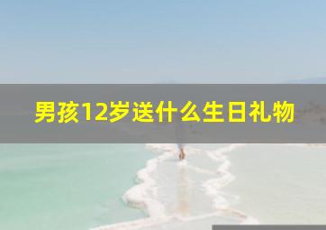 男孩12岁送什么生日礼物