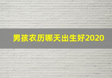 男孩农历哪天出生好2020