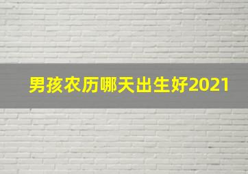 男孩农历哪天出生好2021