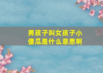 男孩子叫女孩子小傻瓜是什么意思啊