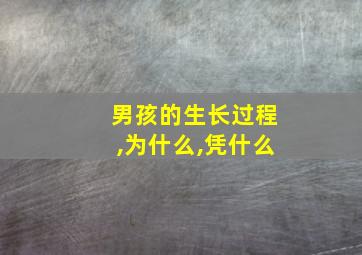 男孩的生长过程,为什么,凭什么