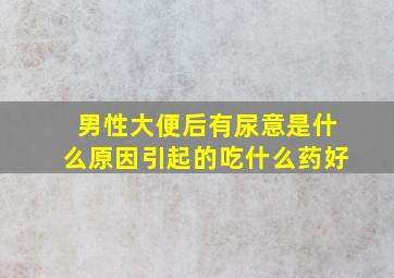 男性大便后有尿意是什么原因引起的吃什么药好