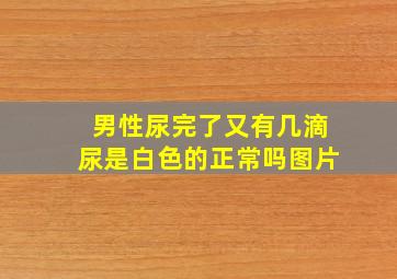 男性尿完了又有几滴尿是白色的正常吗图片