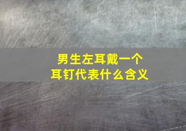 男生左耳戴一个耳钉代表什么含义