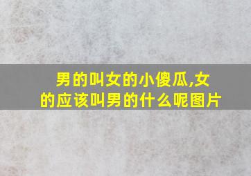 男的叫女的小傻瓜,女的应该叫男的什么呢图片