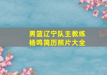 男篮辽宁队主教练杨鸣简历照片大全