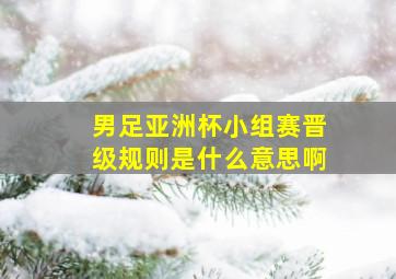 男足亚洲杯小组赛晋级规则是什么意思啊