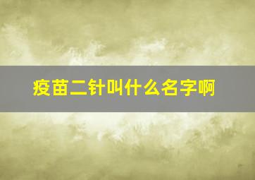 疫苗二针叫什么名字啊