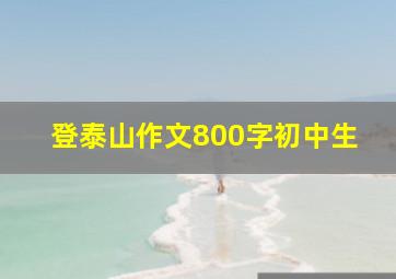 登泰山作文800字初中生