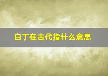 白丁在古代指什么意思