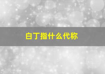 白丁指什么代称