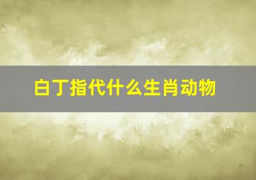 白丁指代什么生肖动物