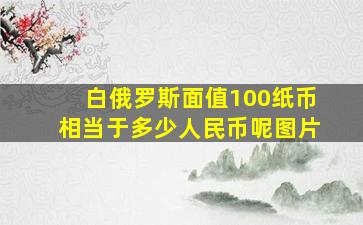 白俄罗斯面值100纸币相当于多少人民币呢图片