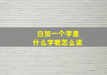 白加一个字是什么字呢怎么读