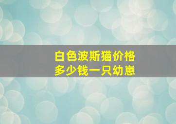 白色波斯猫价格多少钱一只幼崽