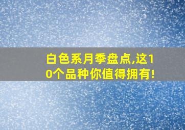 白色系月季盘点,这10个品种你值得拥有!