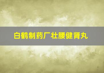 白鹤制药厂壮腰健肾丸