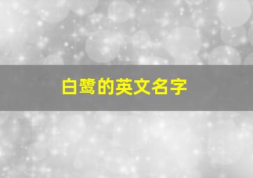 白鹭的英文名字