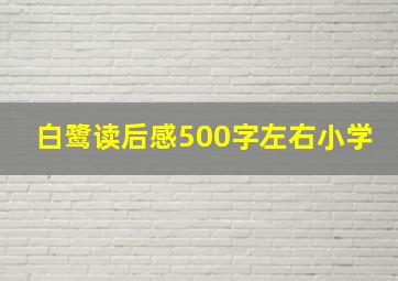 白鹭读后感500字左右小学