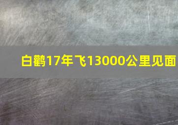 白鹳17年飞13000公里见面