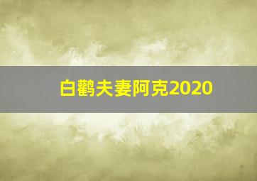 白鹳夫妻阿克2020