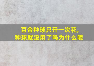 百合种球只开一次花,种球就没用了吗为什么呢