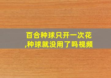 百合种球只开一次花,种球就没用了吗视频