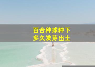 百合种球种下多久发芽出土