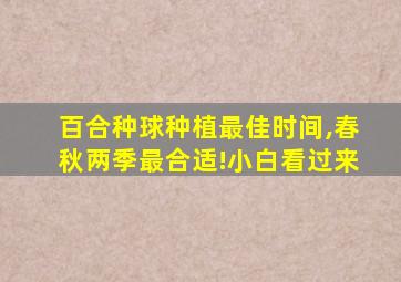 百合种球种植最佳时间,春秋两季最合适!小白看过来