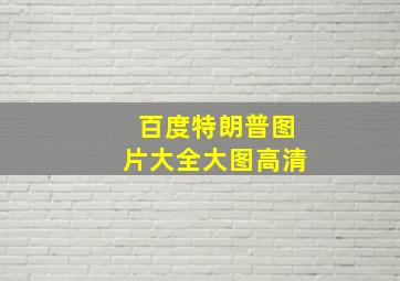 百度特朗普图片大全大图高清