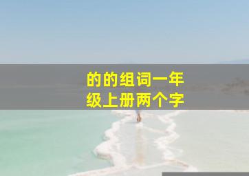 的的组词一年级上册两个字