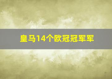 皇马14个欧冠冠军军