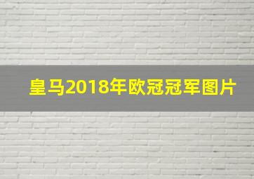 皇马2018年欧冠冠军图片