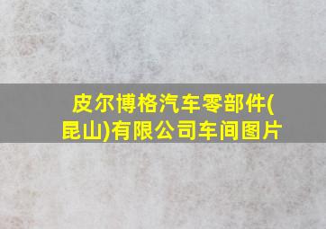 皮尔博格汽车零部件(昆山)有限公司车间图片