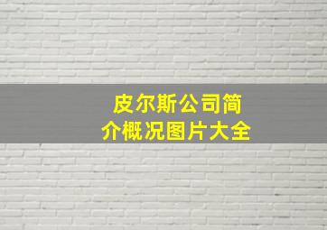 皮尔斯公司简介概况图片大全