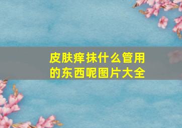 皮肤痒抹什么管用的东西呢图片大全