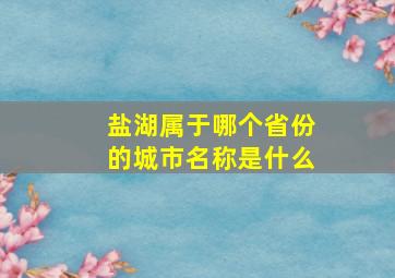 盐湖属于哪个省份的城市名称是什么