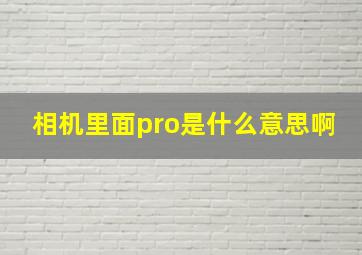 相机里面pro是什么意思啊