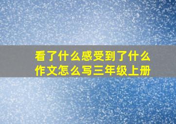 看了什么感受到了什么作文怎么写三年级上册