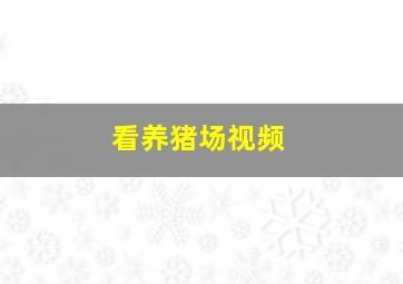 看养猪场视频