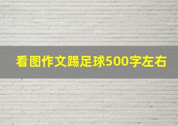 看图作文踢足球500字左右