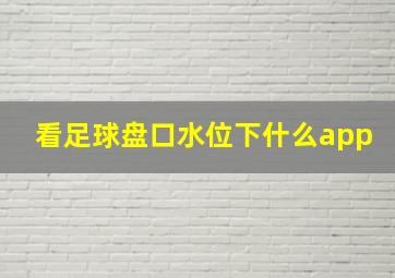 看足球盘口水位下什么app