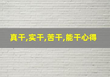 真干,实干,苦干,能干心得