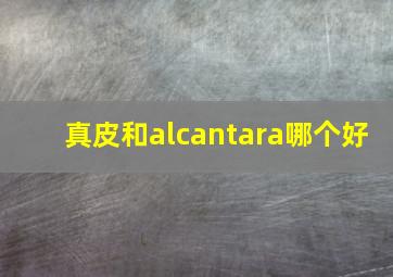 真皮和alcantara哪个好