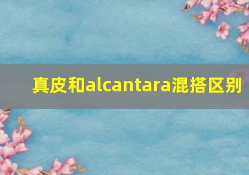 真皮和alcantara混搭区别