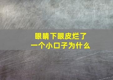 眼睛下眼皮烂了一个小口子为什么