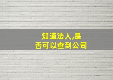 知道法人,是否可以查到公司